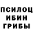 Псилоцибиновые грибы MAGIC MUSHROOMS Mark Schuler