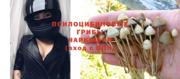 дживик Алексин