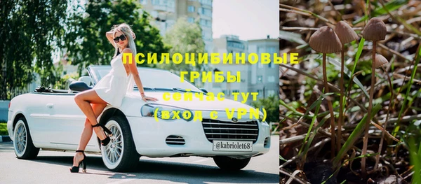 дживик Алексин