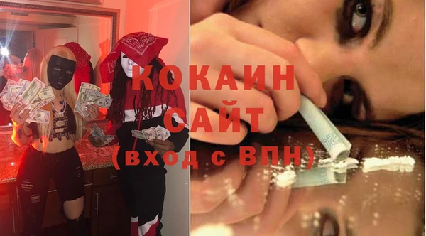 дживик Алексин