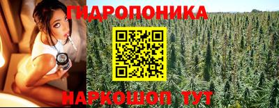 дживик Кунгур