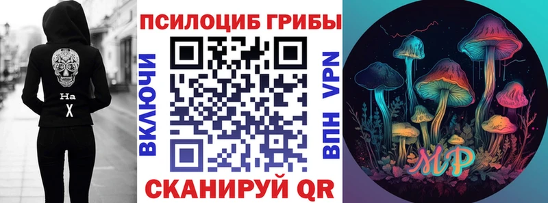 Псилоцибиновые грибы GOLDEN TEACHER  Камышин 