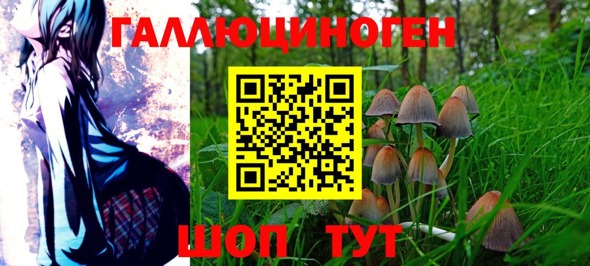 Галлюциногенные грибы MAGIC MUSHROOMS Камышин