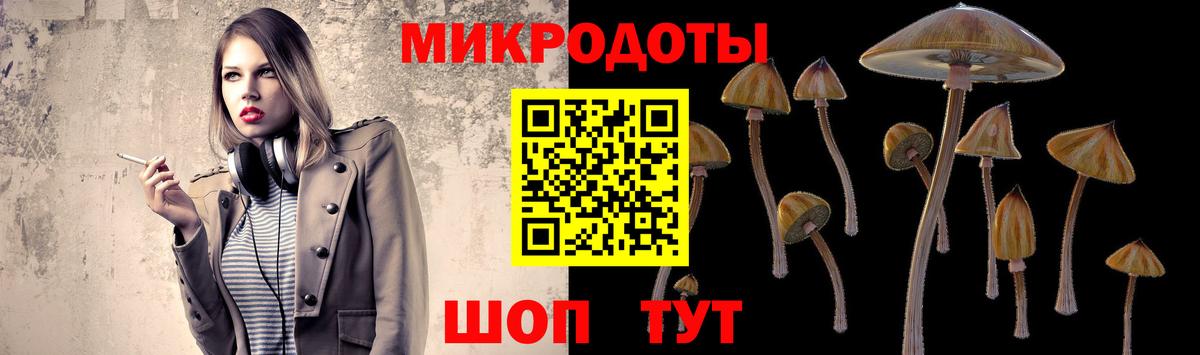 Галлюциногенные грибы мухоморы  Вход с VPN  Камышин 