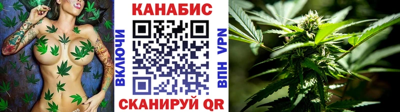 цена   Камышин  Конопля Bruce Banner 